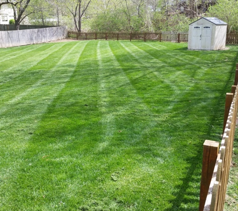 Mantis Lawn Care & Landscaping LLC - Ballwin, MO