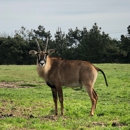 B Bryan Preserve - Nature Centers
