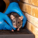 Dependable Pest Solutions Inc - Pest Control Equipment & Supplies