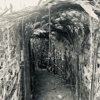 The Field of Fright Haunted Corn Maze gallery