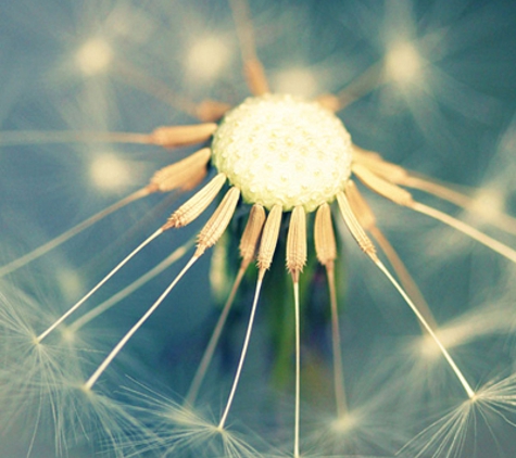 Bay Road Counselling & Psychology - Cheltenham, VIC