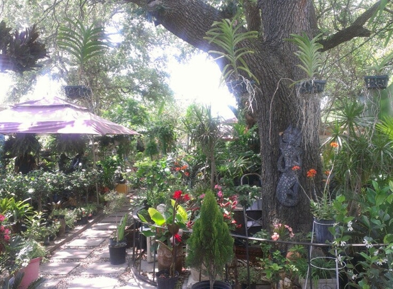 Mimo Garden Center - Miami, FL