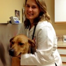 Animal Clinic at Thorndale - Pet Services
