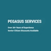 Pegasus Services gallery