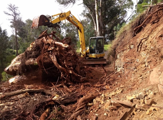 De Coite Tree Service - Haiku, HI