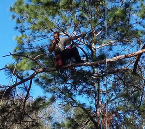 John sisco tree service - Palm Coast, FL