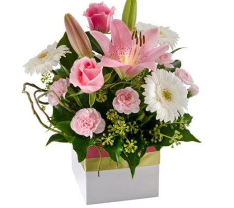 Florist Gardens - Mount Sheridan, QLD
