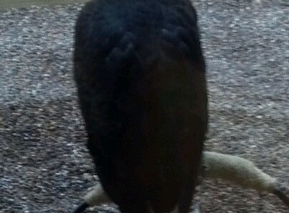 Carpenter Nature Center - Hastings, MN