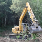 Pacific Northwest Land Clearing