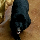 Three Bears - Warehousing-Field