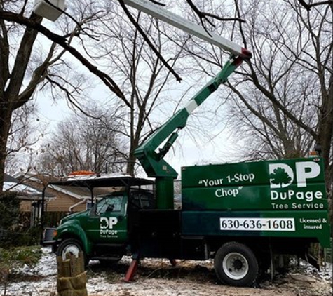 Dupage Tree Services - Elmhurst, IL