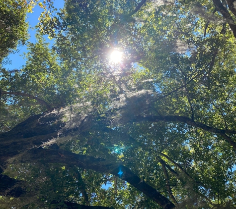 Cooter's Pond Park - Prattville, AL