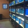 Noah's Ark Exotics gallery