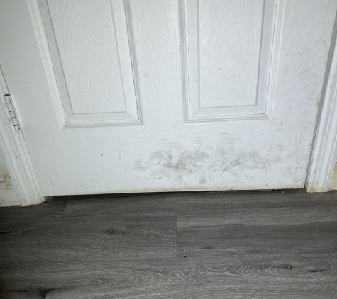 FDP Mold Remediation of North Miami - North Miami, FL