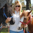 Abby's Party Ponies - Pony Rides