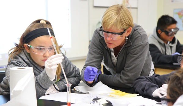 Lancaster Country Day School - Lancaster, PA. All seventh and eighth grade students create an individual science fair project.