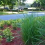 Commercial Lawn Care Service Inc