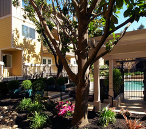 Regency Plaza Apartment Homes - Martinez, CA