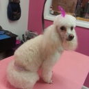 FOOFIE POOCHIES - Pet Services