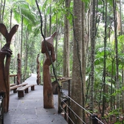 Gallery Image Number 1