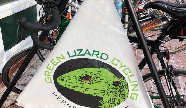 Green Lizard - Herndon, VA