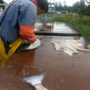 Tanner's Fresh Fish Processing - Fish Packers