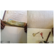 Gallery Image Number 2