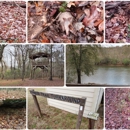 Chattahoochee Bend State Park - State Parks