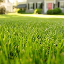 Backwoods Lawncare LLC - Landscaping & Lawn Services