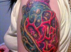 Gallery Image Number 6