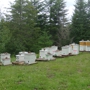 Farmer Gene's Bees