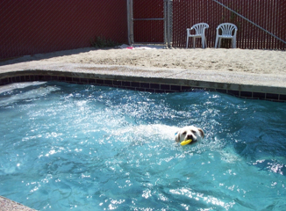 Elite  Dogs Training And Boarding - West Sacramento, CA