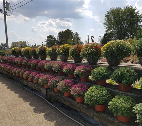 Cox's Plant Farm - Clayton, IN