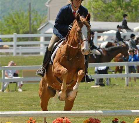 Westfield Equestrian Farm LLC - Dillsburg, PA