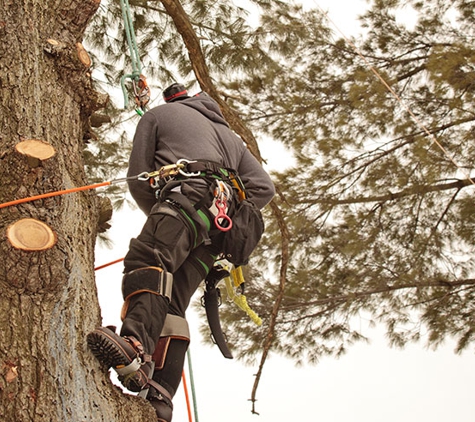 Kai's Affordable Tree Maintenance, LLC - Haleiwa, HI