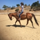 Rolling Hills Boarding Stables of Poway