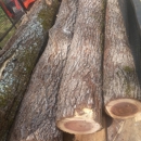Me & We Tree Service - Tree Service