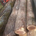 Me & We Tree Service