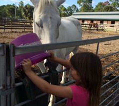 Rockin N Stables - Pelham, GA