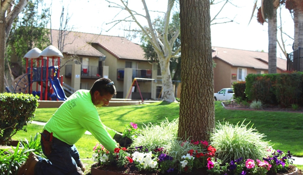 Greenview Landscape - Riverside, CA