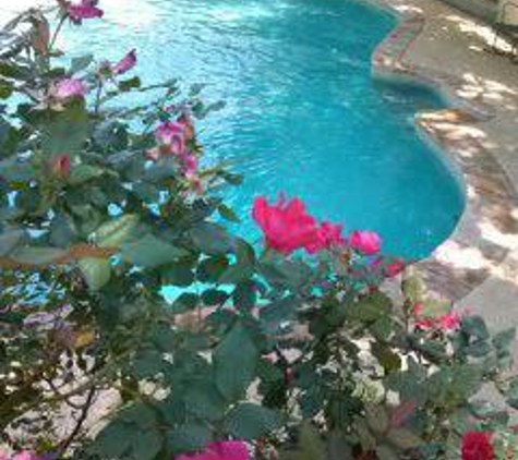 Gannon Swimming Pool Service - Azle, TX