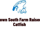 Deep Down South Farm Raised Catfish - Fish Farms
