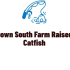 Deep Down South Farm Raised Catfish