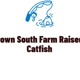 Deep Down South Farm Raised Catfish