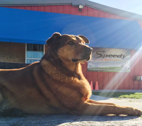 Speedy Electric & A/C - Midlothian, TX