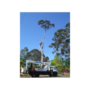 Sapphire Coast Tree Service & Tower Hire