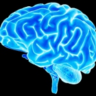 Hearing and Brain Centers of America - Cedar City
