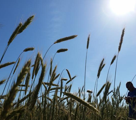 Black Sand Granary - Land Management - Prairie du Chien, WI