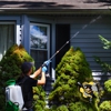 Richland Pest & Bee Control gallery