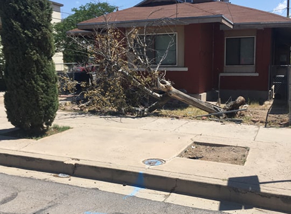 El Paso Tree Removal - El Paso, TX